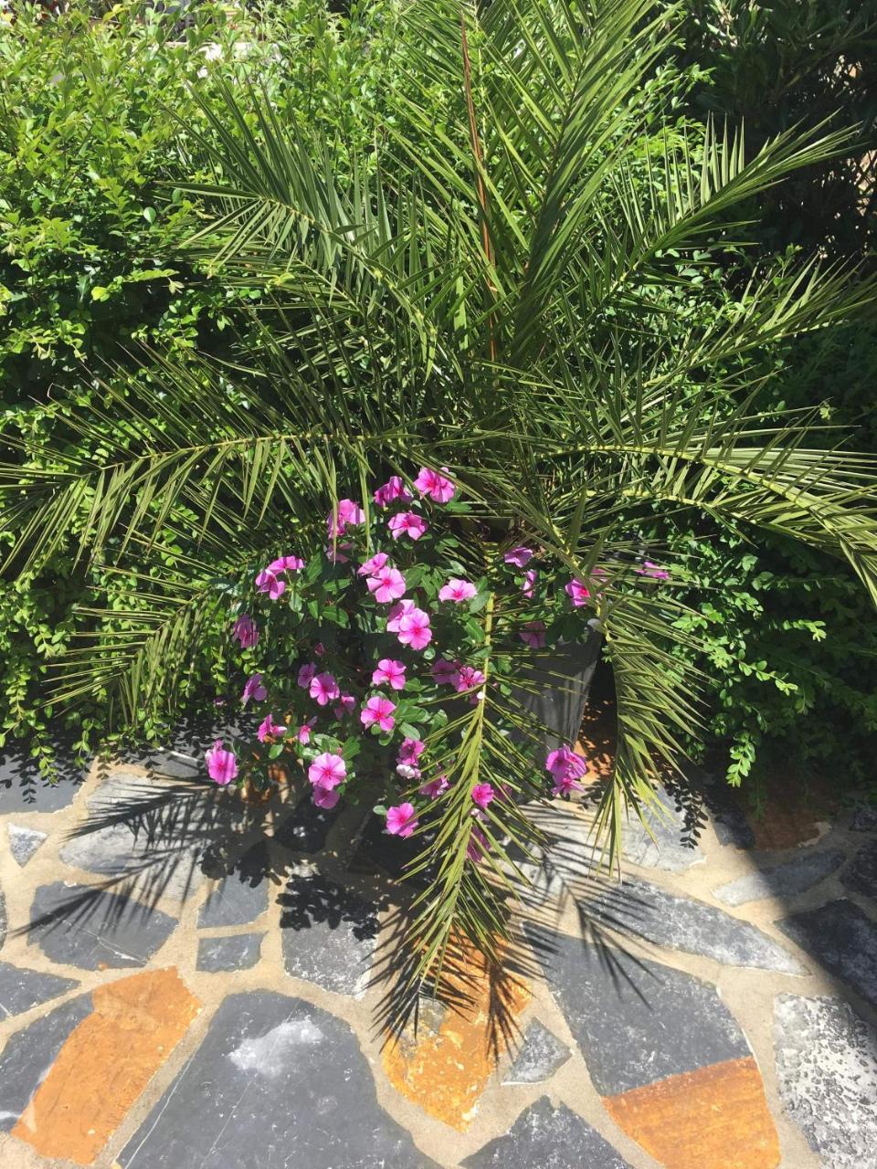 Villa Kela Εξαμίλιο Εξωτερικό φωτογραφία